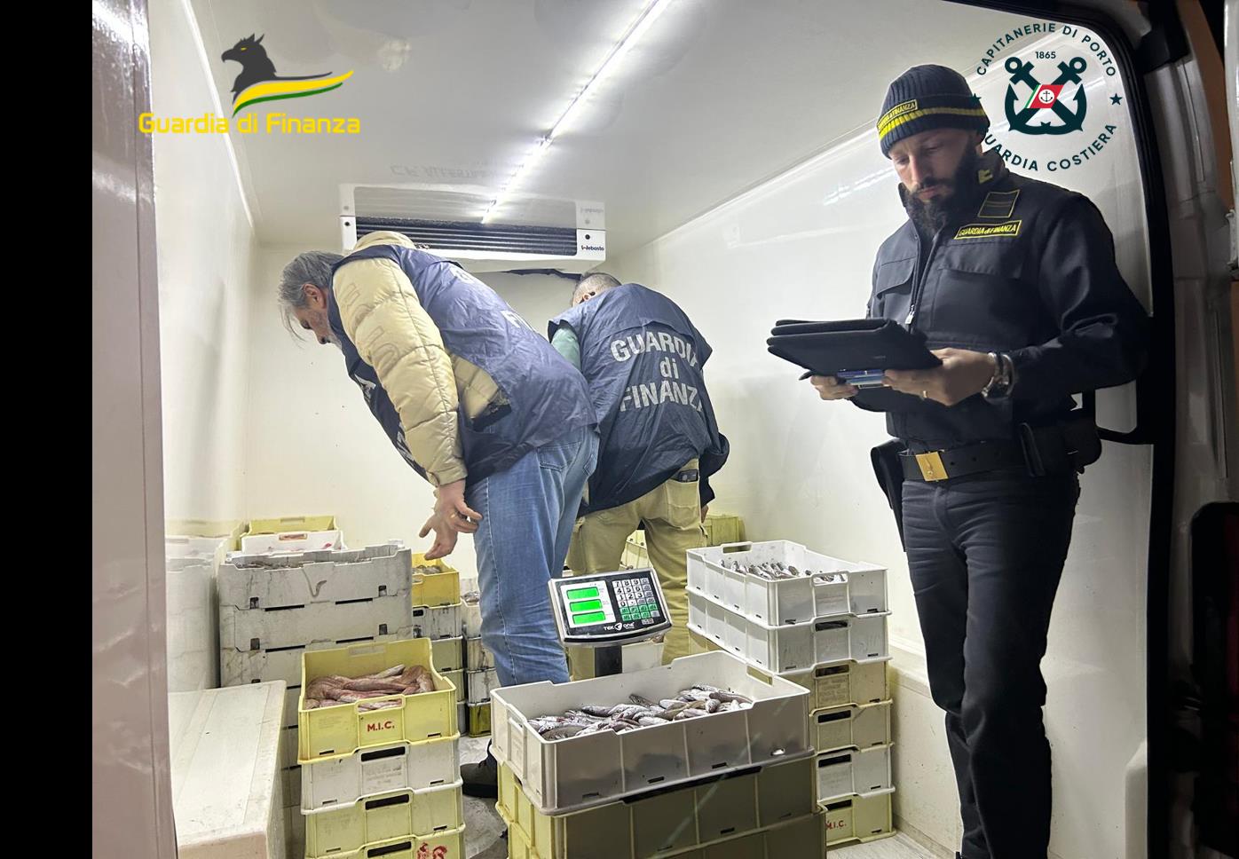 Appostamenti Al Porto Di Civitanova Scoperto Un Commercio Illegale Di