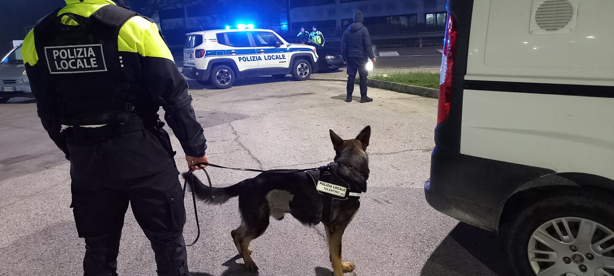 Alla Guida Dell'auto Con Un Tasso Di Alcol Vicino Al Coma Etilico ...