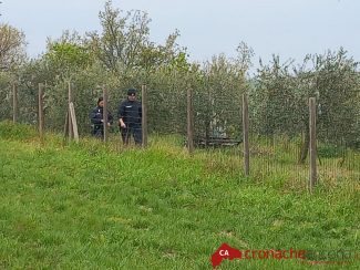 Le ricerche di Andreea Rabciuc in corso da questa mattina